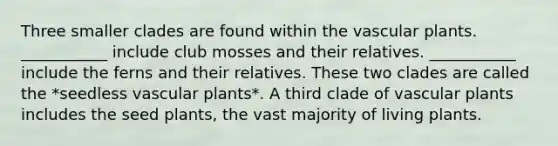 Three smaller clades are found within the vascular plants. ___________ include club mosses and their relatives. ___________ include the ferns and their relatives. These two clades are called the *seedless vascular plants*. A third clade of vascular plants includes the seed plants, the vast majority of living plants.