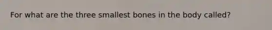 For what are the three smallest bones in the body called?