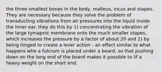 the three smallest bones in the body, malleus, incus and stapes. They are necessary because they solve the problem of transducting vibrations from air pressures into the liquid inside the inner ear. they do this by 1) concentrating the vibration of the large tymapnic membrane onto the much smaller stapes, which increases the pressure by a factor of about 20 and 2) by being hinged to create a lever action - an effect similar to what happens whe a fulcrum is placed under a board, so that pushing down on the long end of the board makes it possible to lif a heavy weight on the short end.