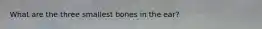 What are the three smallest bones in the ear?