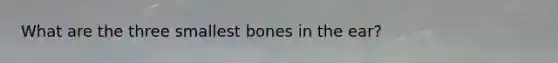 What are the three smallest bones in the ear?