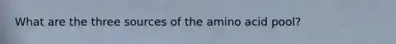 What are the three sources of the amino acid pool?