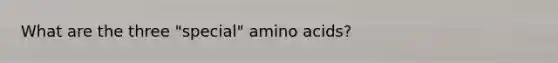 What are the three "special" amino acids?