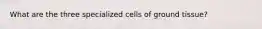 What are the three specialized cells of ground tissue?