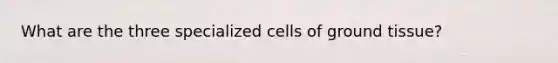 What are the three specialized cells of <a href='https://www.questionai.com/knowledge/kb0kKBaH0H-ground-tissue' class='anchor-knowledge'>ground tissue</a>?