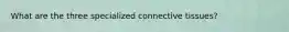 What are the three specialized connective tissues?