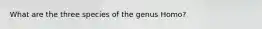 What are the three species of the genus Homo?