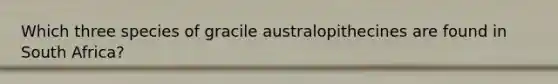 Which three species of gracile australopithecines are found in South Africa?