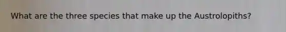 What are the three species that make up the Austrolopiths?