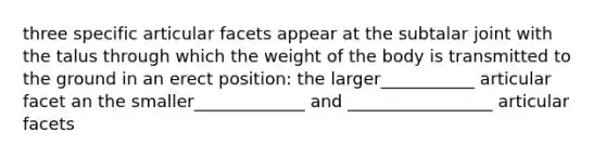 three specific articular facets appear at the subtalar joint with the talus through which the weight of the body is transmitted to the ground in an erect position: the larger___________ articular facet an the smaller_____________ and _________________ articular facets