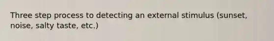 Three step process to detecting an external stimulus (sunset, noise, salty taste, etc.)