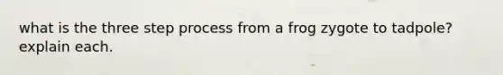 what is the three step process from a frog zygote to tadpole? explain each.