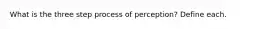 What is the three step process of perception? Define each.