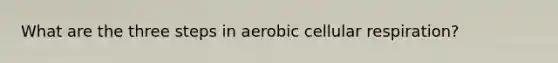 What are the three steps in aerobic cellular respiration?