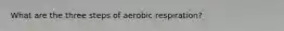 What are the three steps of aerobic respiration?