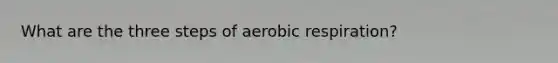 What are the three steps of aerobic respiration?