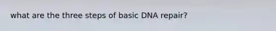 what are the three steps of basic DNA repair?