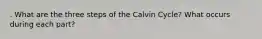 . What are the three steps of the Calvin Cycle? What occurs during each part?