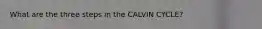What are the three steps in the CALVIN CYCLE?