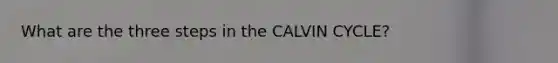 What are the three steps in the CALVIN CYCLE?