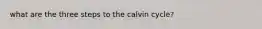 what are the three steps to the calvin cycle?