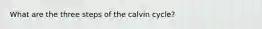 What are the three steps of the calvin cycle?