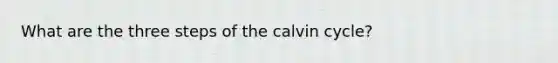 What are the three steps of the calvin cycle?