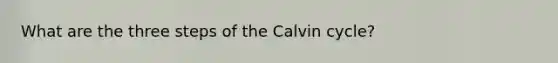 What are the three steps of the Calvin cycle?