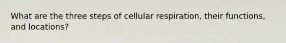 What are the three steps of cellular respiration, their functions, and locations?