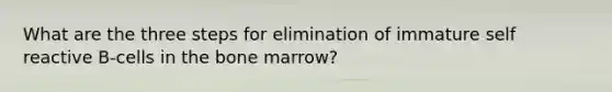 What are the three steps for elimination of immature self reactive B-cells in the bone marrow?