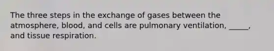 The three steps in the exchange of gases between the atmosphere, blood, and cells are pulmonary ventilation, _____, and tissue respiration.