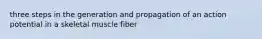 three steps in the generation and propagation of an action potential in a skeletal muscle fiber