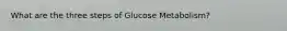 What are the three steps of Glucose Metabolism?