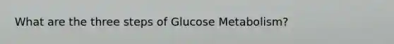 What are the three steps of Glucose Metabolism?