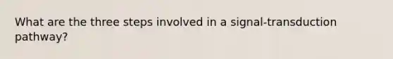 What are the three steps involved in a signal-transduction pathway?