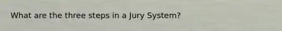 What are the three steps in a Jury System?