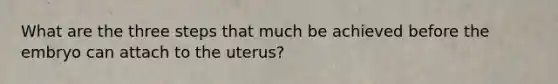 What are the three steps that much be achieved before the embryo can attach to the uterus?