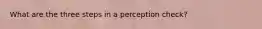 What are the three steps in a perception check?