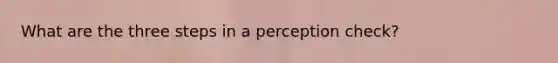 What are the three steps in a perception check?