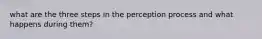 what are the three steps in the perception process and what happens during them?