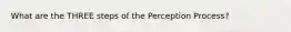 What are the THREE steps of the Perception Process?