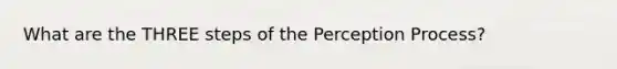 What are the THREE steps of the Perception Process?