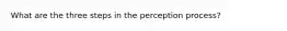 What are the three steps in the perception process?