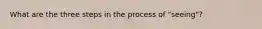 What are the three steps in the process of "seeing"?