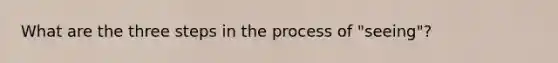 What are the three steps in the process of "seeing"?