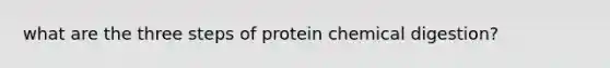 what are the three steps of protein chemical digestion?