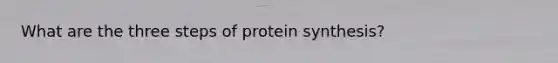 What are the three steps of <a href='https://www.questionai.com/knowledge/kVyphSdCnD-protein-synthesis' class='anchor-knowledge'>protein synthesis</a>?