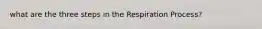 what are the three steps in the Respiration Process?