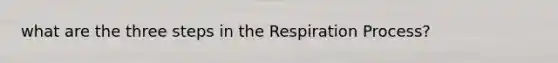 what are the three steps in the Respiration Process?