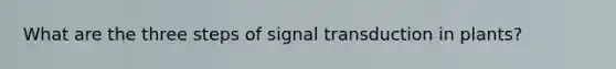 What are the three steps of signal transduction in plants?